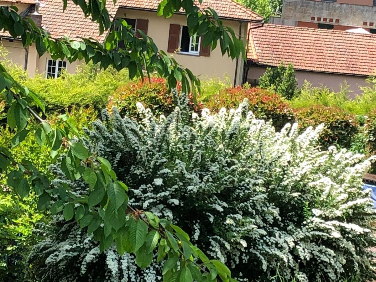 A O Soa B&B Savignone Eksteriør billede